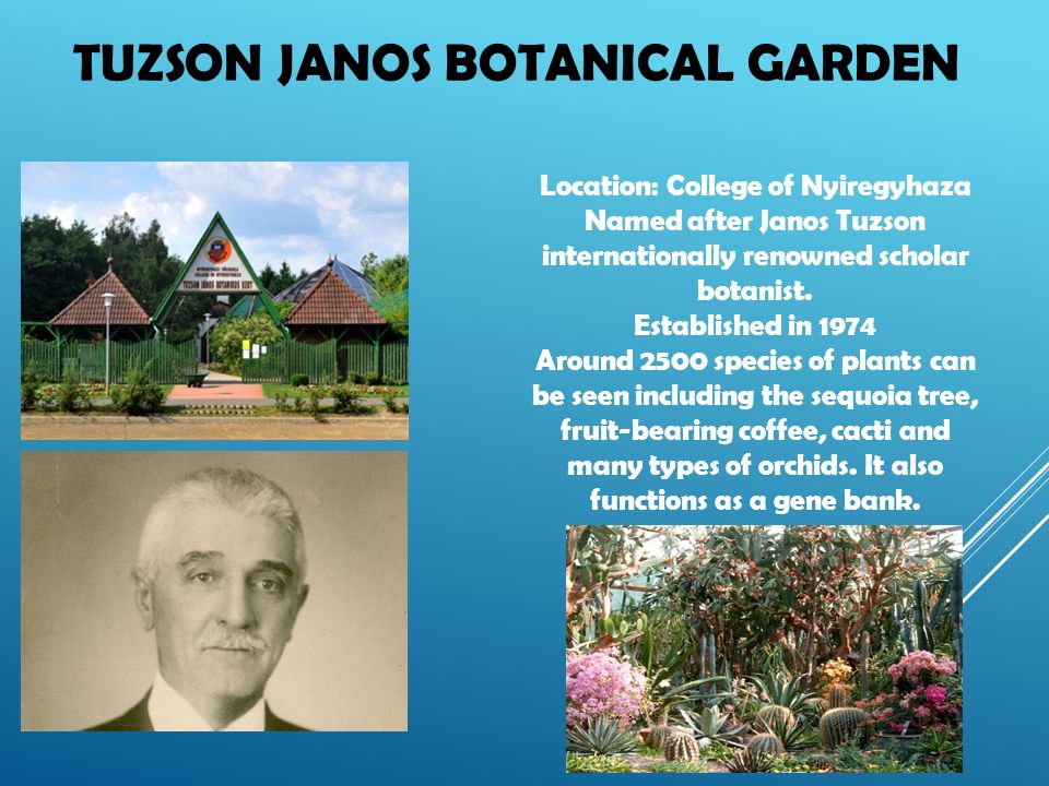 TUZSON JANOS BOTANICAL GARDEN Location: College of Nyiregyhaza Named after Janos Tuzson internationally renowned scholar botanist.