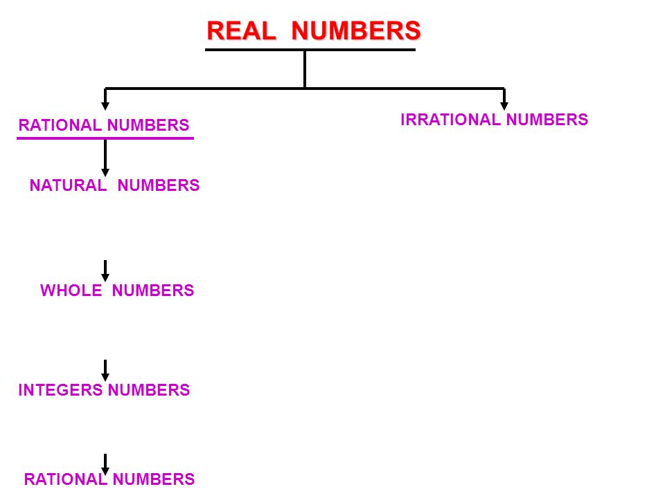 REAL NUMBERS RATIONAL NUMBERS IRRATIONAL NUMBERS NATURAL NUMBERS WHOLE NUMBERS INTEGERS NUMBERS RATIONAL NUMBERS