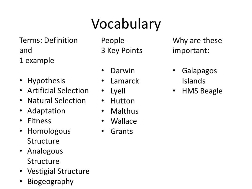 term paper definition term paper definition