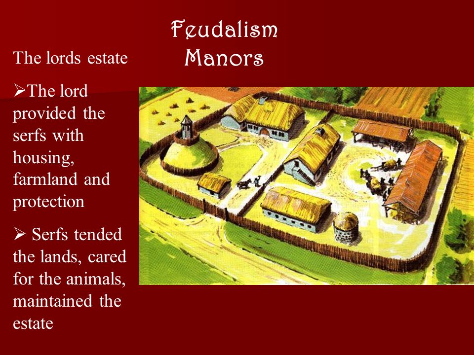 Feudalism Manors The lords estate  The lord provided the serfs with housing, farmland and protection  Serfs tended the lands, cared for the animals, maintained the estate