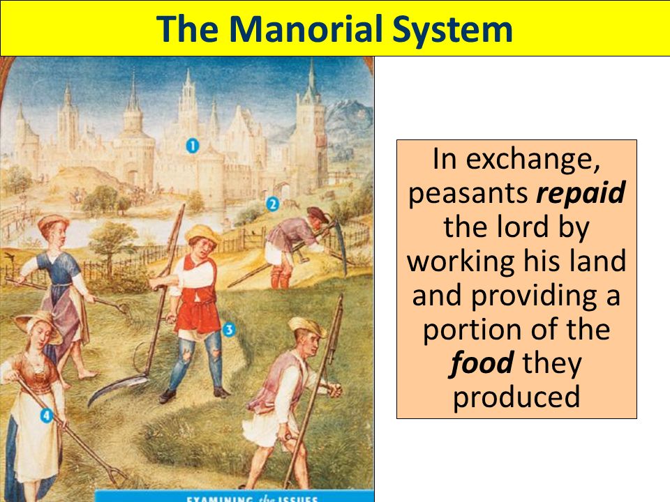 The Manorial System The lord provided peasants with housing, farmland, and protection