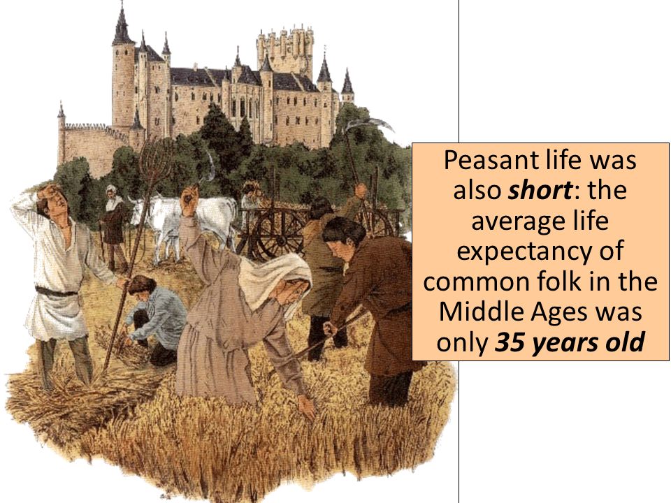 However, peasant life was hard: the days were filled by tough physical labor, they paid taxes to use the lord’s mill (to make bread for themselves), and had to get the lord’s permission for most things, including getting married