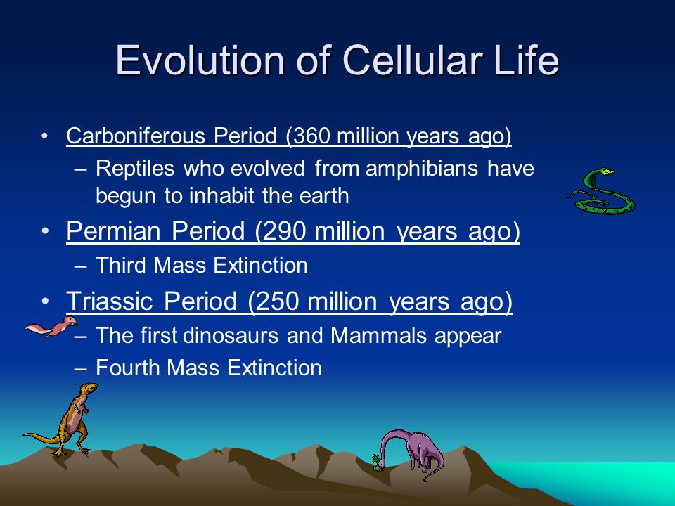 permian period mass extinction essay Absence of evidence, or evidence of absence a paper on animal consciousness mass extinction and climate change theories of mass extinction censorship: gradual loss of freedoms promised in the constitution mass media and adolescence: how mass media influence teens in their sexual behavior the main function of religion is to provide. permian period mass extinction essay Absence of evidence, or evidence of absence a paper on animal consciousness mass extinction and climate change theories of mass extinction censorship: gradual loss of freedoms promised in the constitution mass media and adolescence: how mass media influence teens in their sexual behavior the main function of religion is to provide.