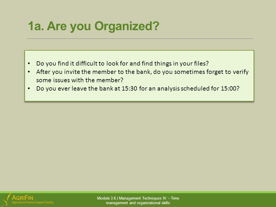 what are some organizational skills