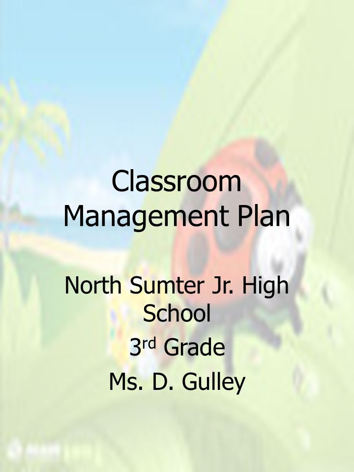 Classroom Management Plan North Sumter Jr. High School 3 rd Grade Ms. D. Gulley