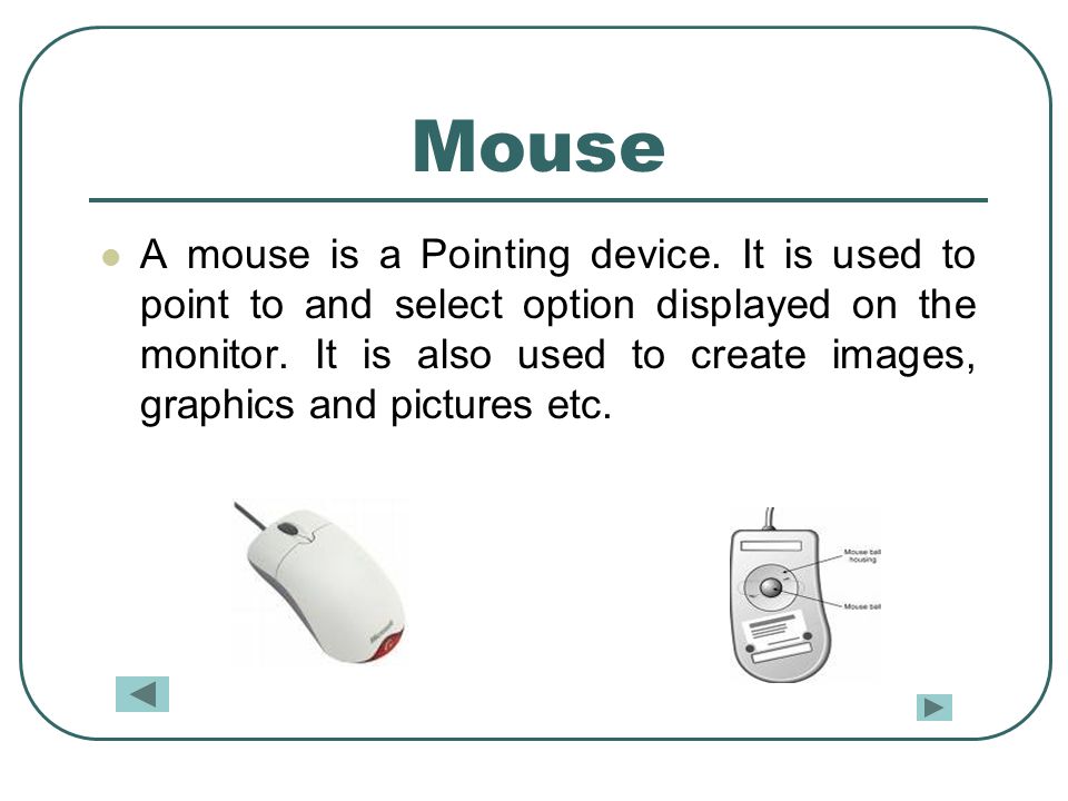 Mouse A mouse is a Pointing device.
