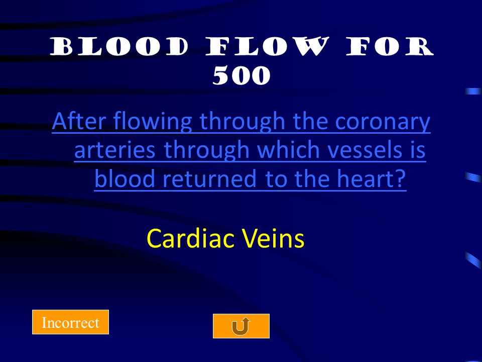 Blood Flow for 400 Incorrect One of the two branches of the left coronary artery. LAD & Circumflex