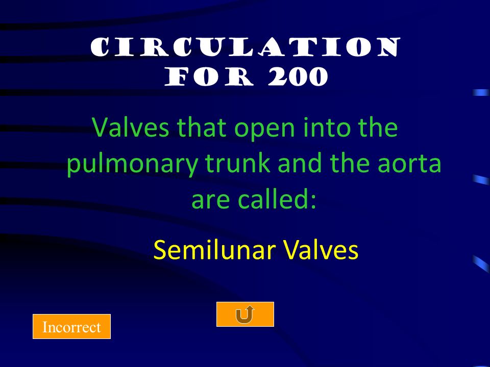 Circulation for 100 Incorrect Arterial and venous blood are connected by what Capillary Beds