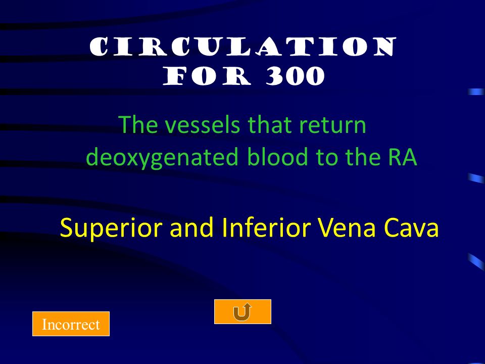 Circulation for 200 Incorrect Valves that open into the pulmonary trunk and the aorta are called: Semilunar Valves