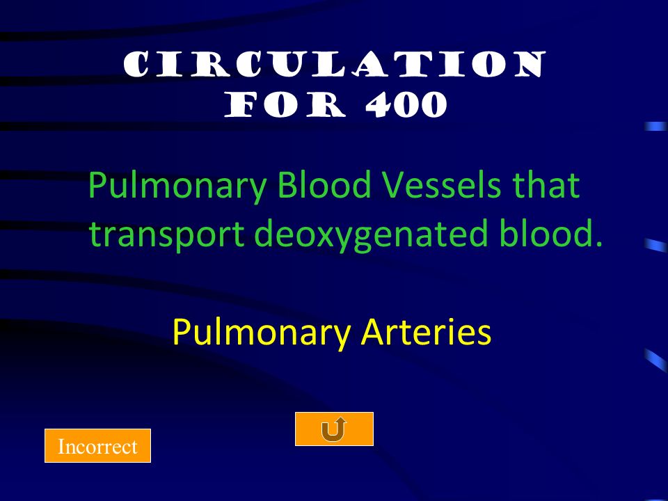 Circulation for 300 Incorrect The vessels that return deoxygenated blood to the RA Superior and Inferior Vena Cava
