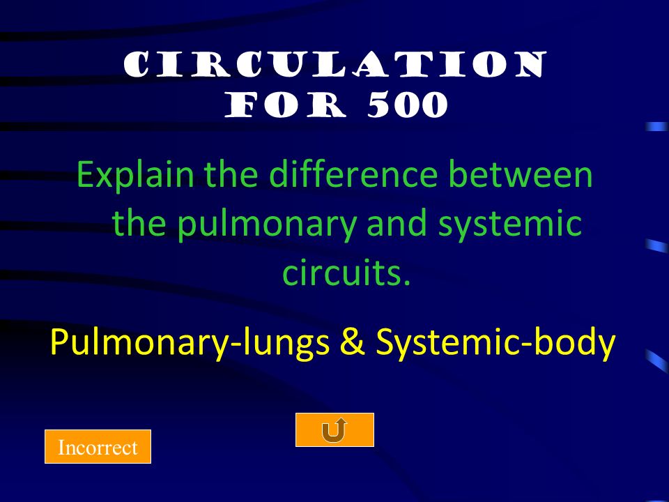 Circulation for 400 Incorrect Pulmonary Blood Vessels that transport deoxygenated blood.