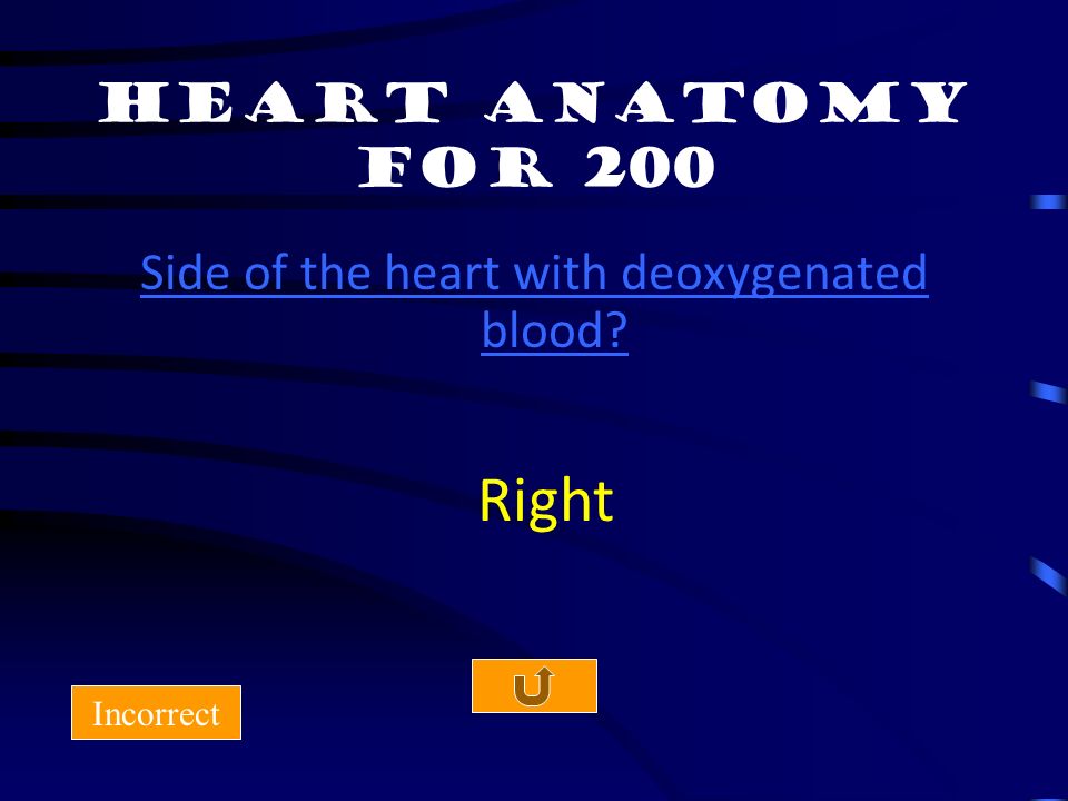 Heart anatomy for 100 Incorrect Pacemaker of the Heart & Location Sinoatrial Node & Top of RA