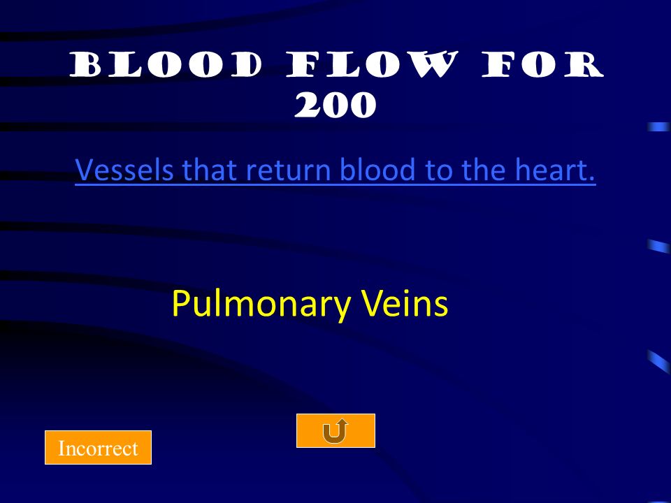 Blood Flow for 100 Incorrect Lungs Blood flows where after being pumped out of the right ventricle