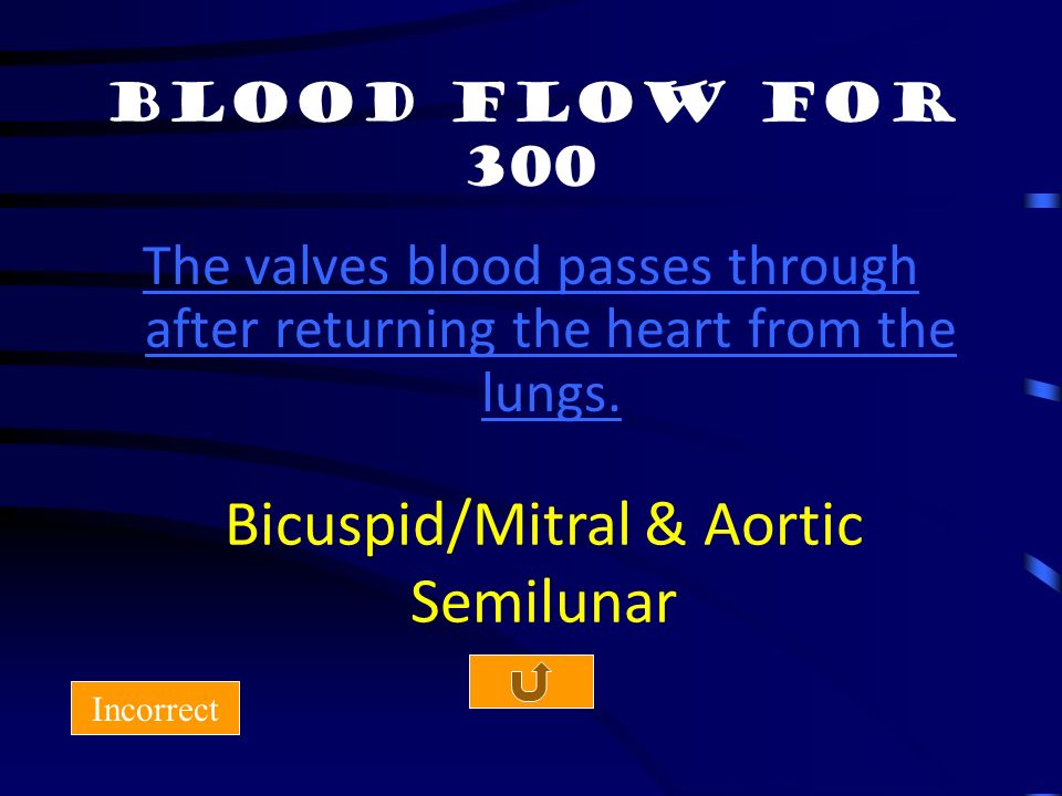 Blood Flow for 200 Incorrect Vessels that return blood to the heart. Pulmonary Veins