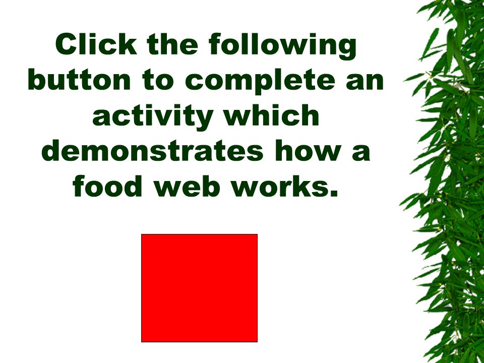 food chains chapter 2 section 3 table of contents 1 science process how a food web works