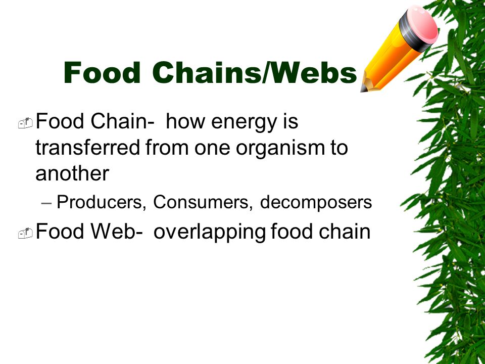 food chains chapter 2 section 3 table of contents 1 science process how the food chain works