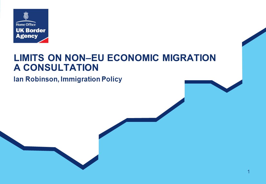 1 LIMITS ON NON–EU ECONOMIC MIGRATION A CONSULTATION Ian Robinson, Immigration Policy