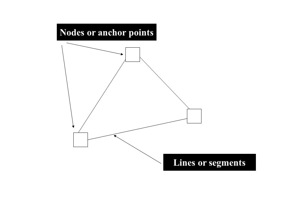 Nodes or anchor points Lines or segments