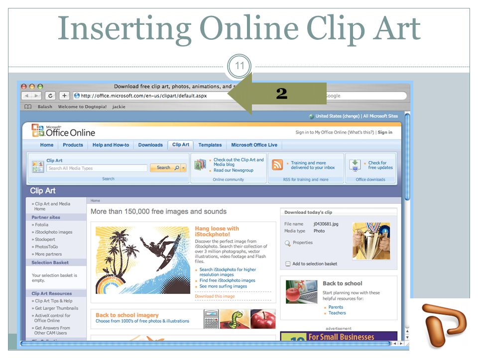Inserting Online Clip Art