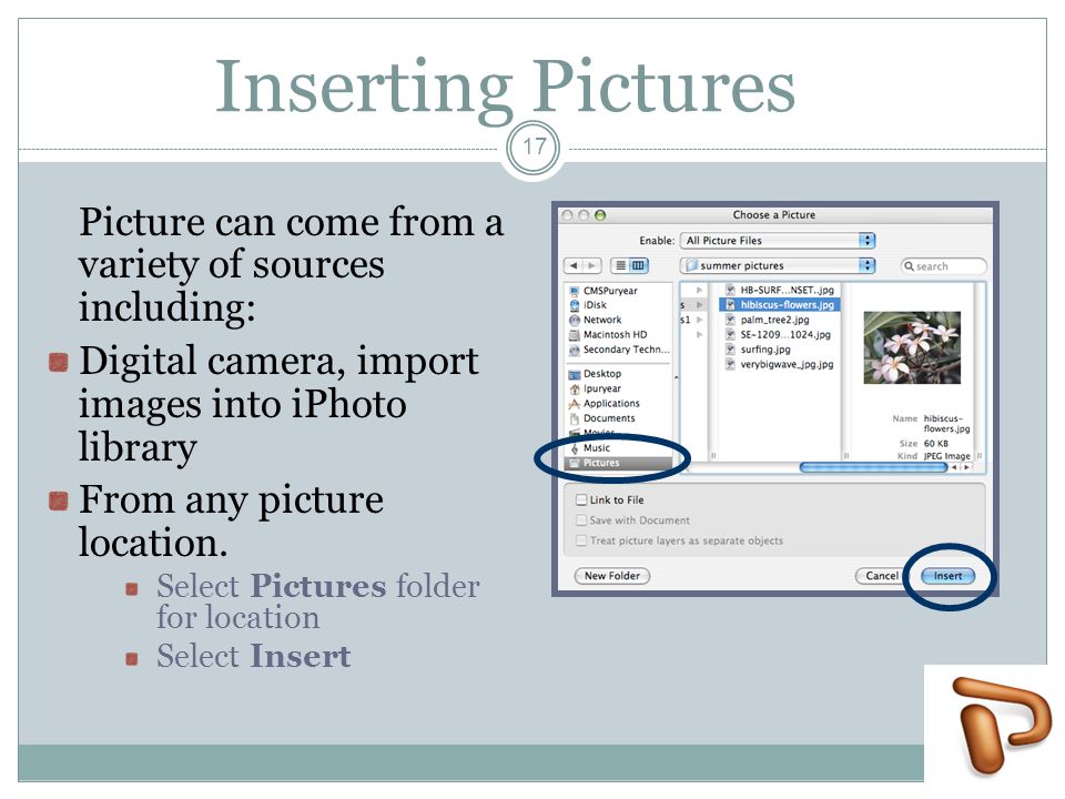 Inserting Pictures Picture can come from a variety of sources including: Digital camera, import images into iPhoto library From any picture location.