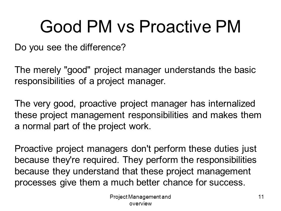project manager duties