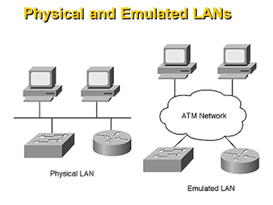 what is lan