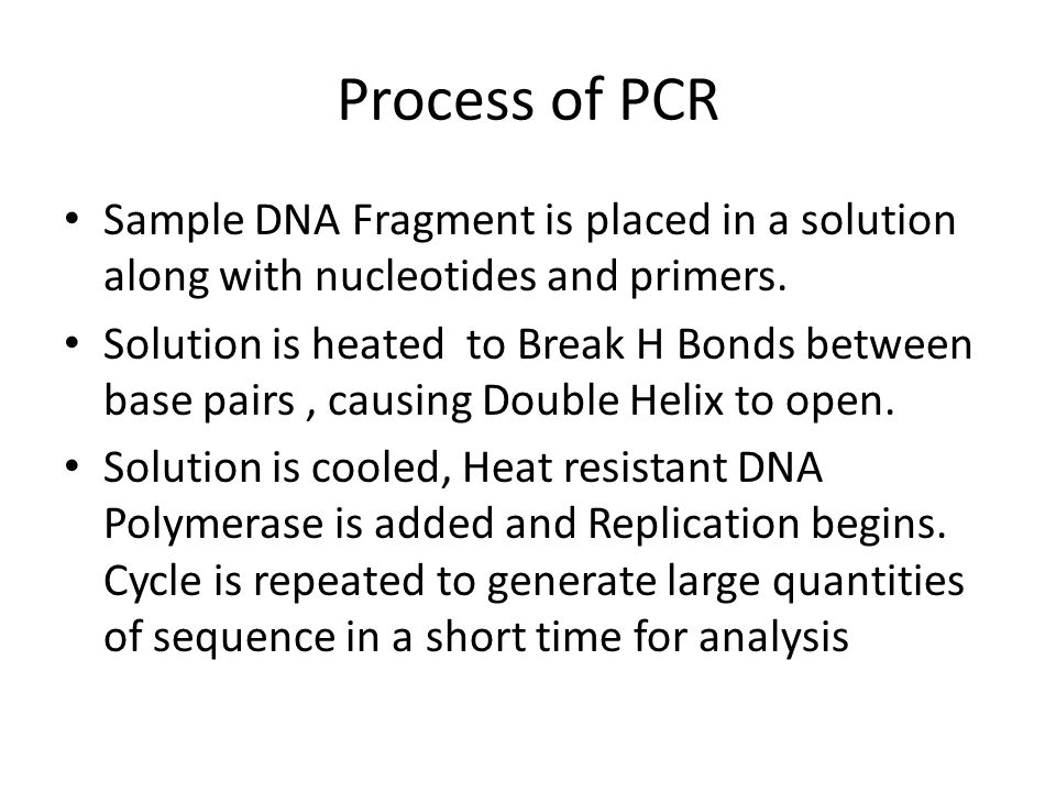 Process of PCR Sample DNA Fragment is placed in a solution along with nucleotides and primers.