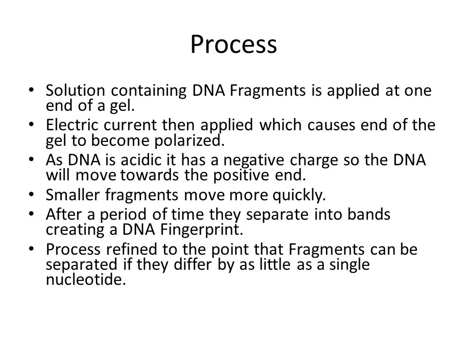 Process Solution containing DNA Fragments is applied at one end of a gel.