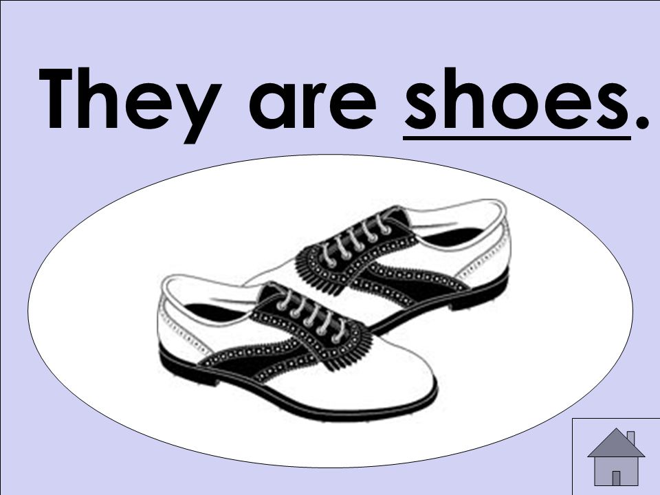 They are shoes.
