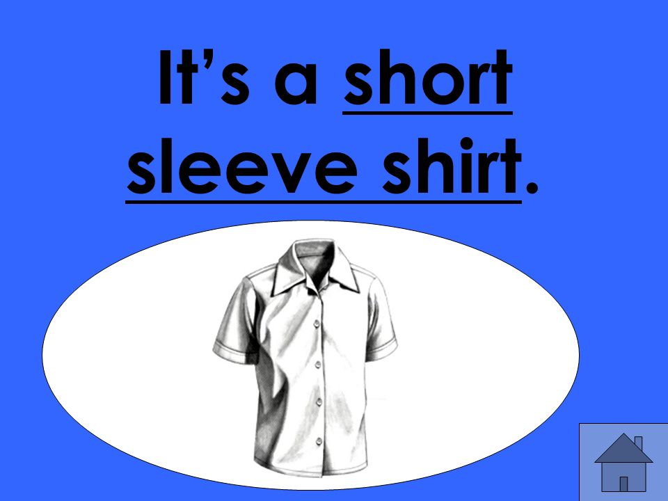 It’s a short sleeve shirt.