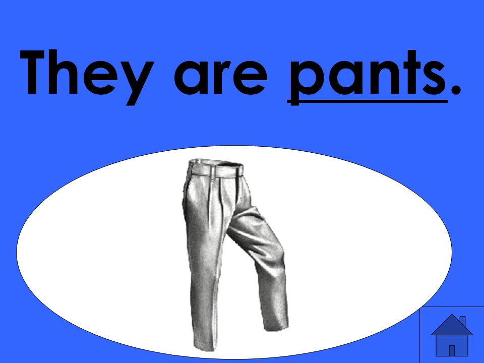 They are pants.