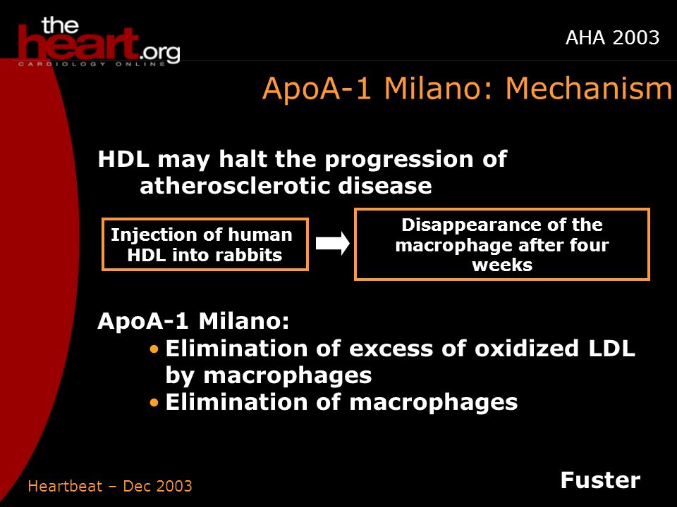 Heartbeat – Dec 2003 AHA 2003 ApoA-1 Milano: Mechanism HDL may halt the progression of atherosclerotic disease ApoA-1 Milano: Elimination of excess of oxidized LDL by macrophages Elimination of macrophages Fuster Injection of human HDL into rabbits Disappearance of the macrophage after four weeks