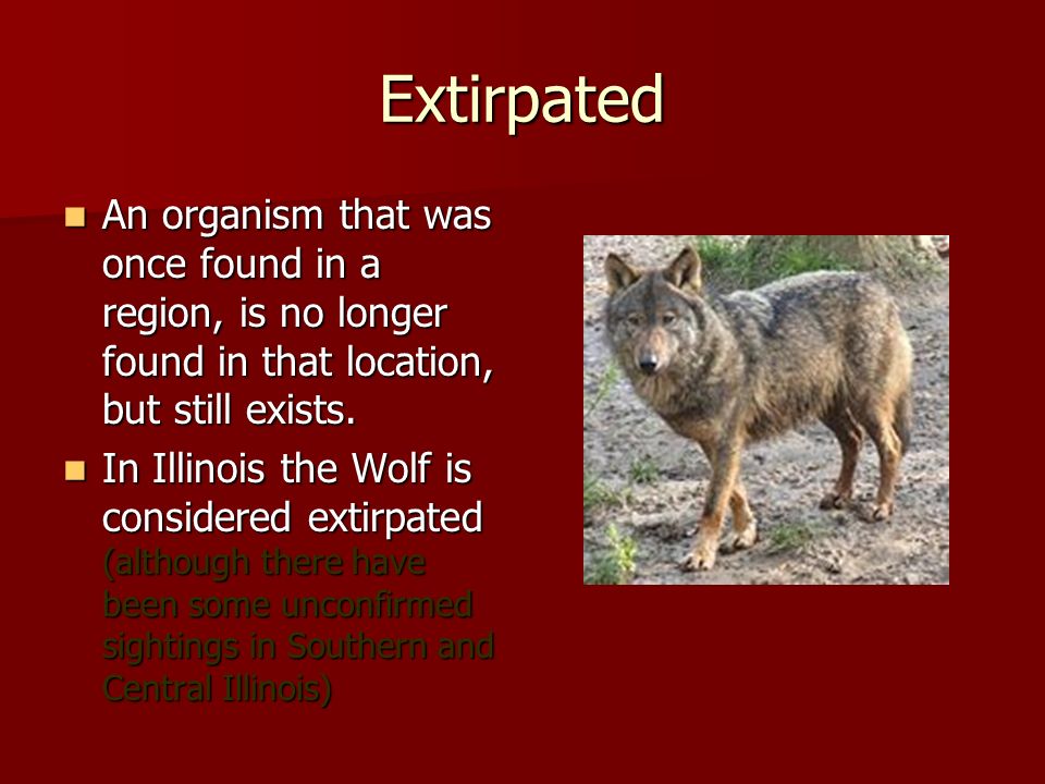 Extirpated An organism that was once found in a region, is no longer found in that location, but still exists.