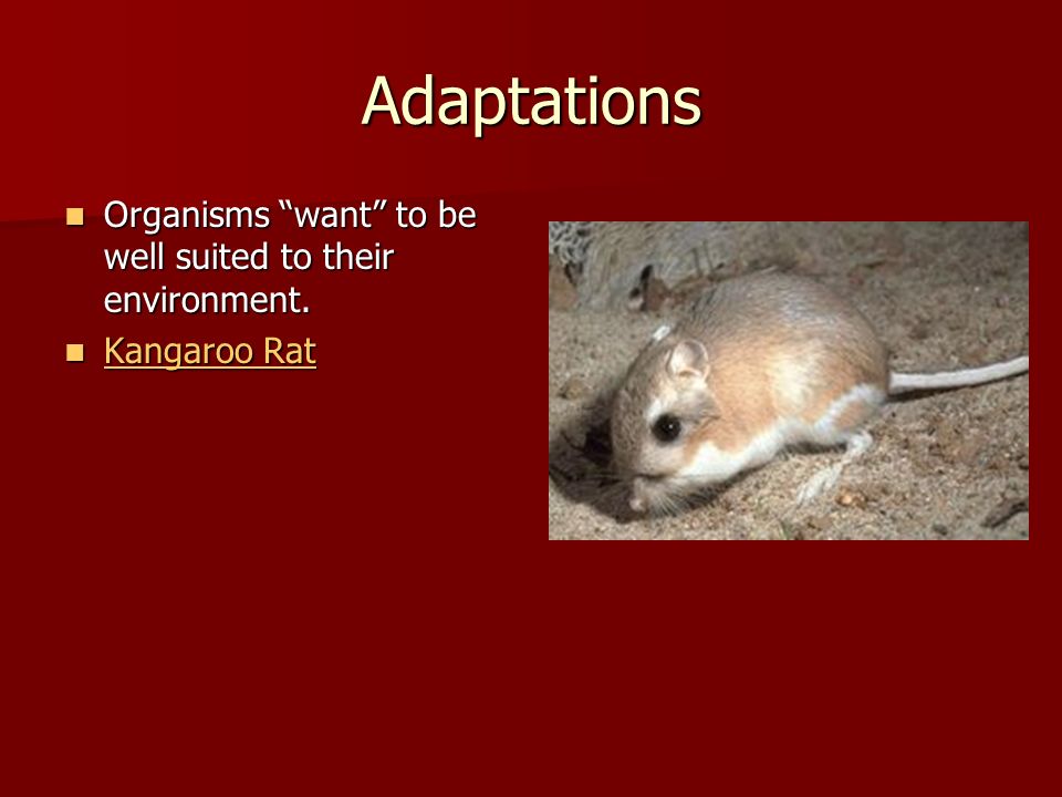 Adaptations Organisms want to be well suited to their environment.