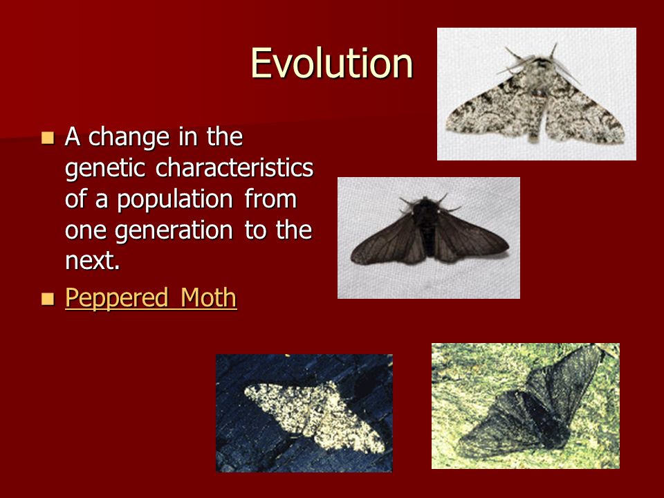 Evolution A change in the genetic characteristics of a population from one generation to the next.