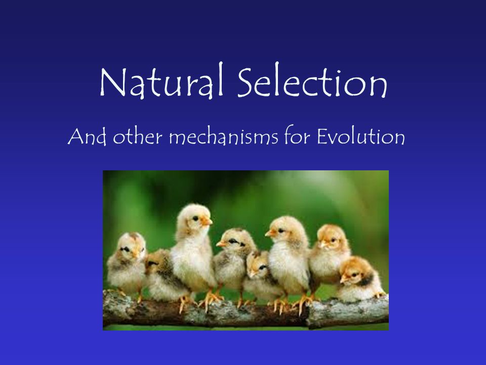 Natural Selection And other mechanisms for Evolution