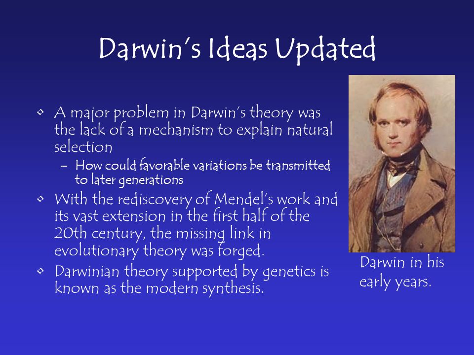 Darwin’s Ideas Updated A major problem in Darwin’s theory was the lack of a mechanism to explain natural selection –How could favorable variations be transmitted to later generations With the rediscovery of Mendel’s work and its vast extension in the first half of the 20th century, the missing link in evolutionary theory was forged.