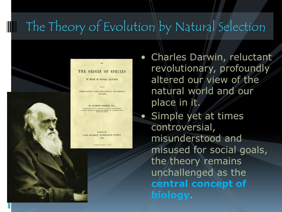 A Darwinian View of Life Descent With Modification