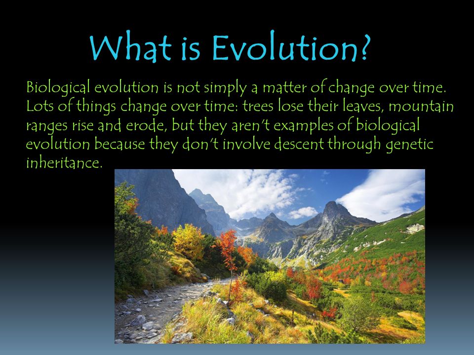 The Theory of Evolution by Natural Selection Charles Darwin, reluctant revolutionary, profoundly altered our view of the natural world and our place in it.
