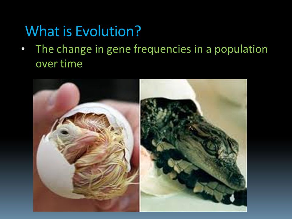 What is Evolution. Biological evolution is not simply a matter of change over time.