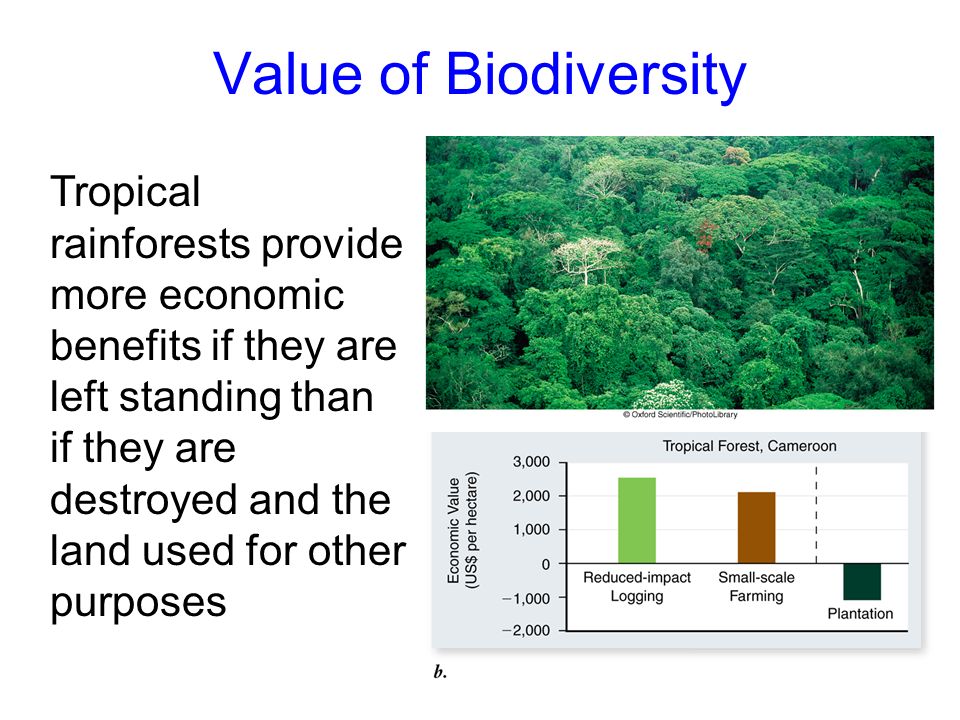value of biodiversity value of biodiversity