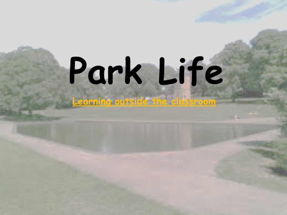 Park Life Learning outside the classroom