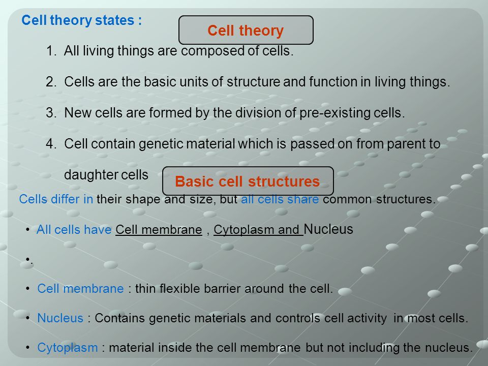 Cell theory states : 1.All living things are composed of cells.