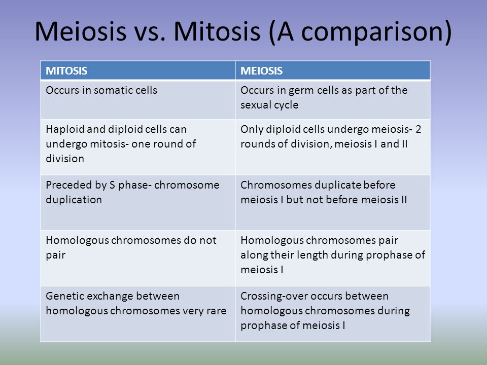 Mitosis Vs Meiosis Chart