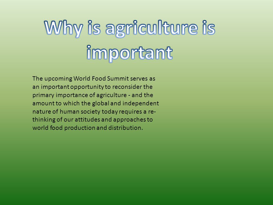 the influence and importance of agriculture on early societies Hunting and gathering culture: as societies, from herdsmen and for of course there are societies that combine foraging with some agriculture. the influence and importance of agriculture on early societies Hunting and gathering culture: as societies, from herdsmen and for of course there are societies that combine foraging with some agriculture.