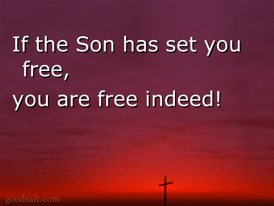 If the Son has set you free, you are free indeed! If the Son has set you free, you are free indeed!