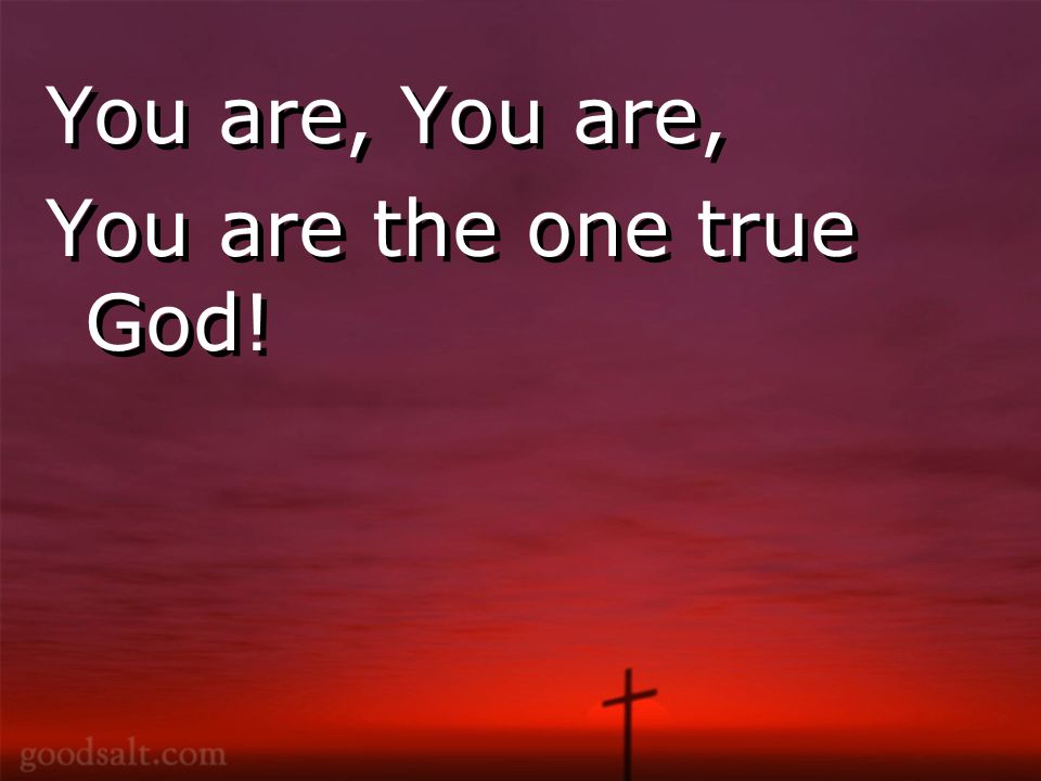 You are, You are the one true God! You are, You are the one true God!