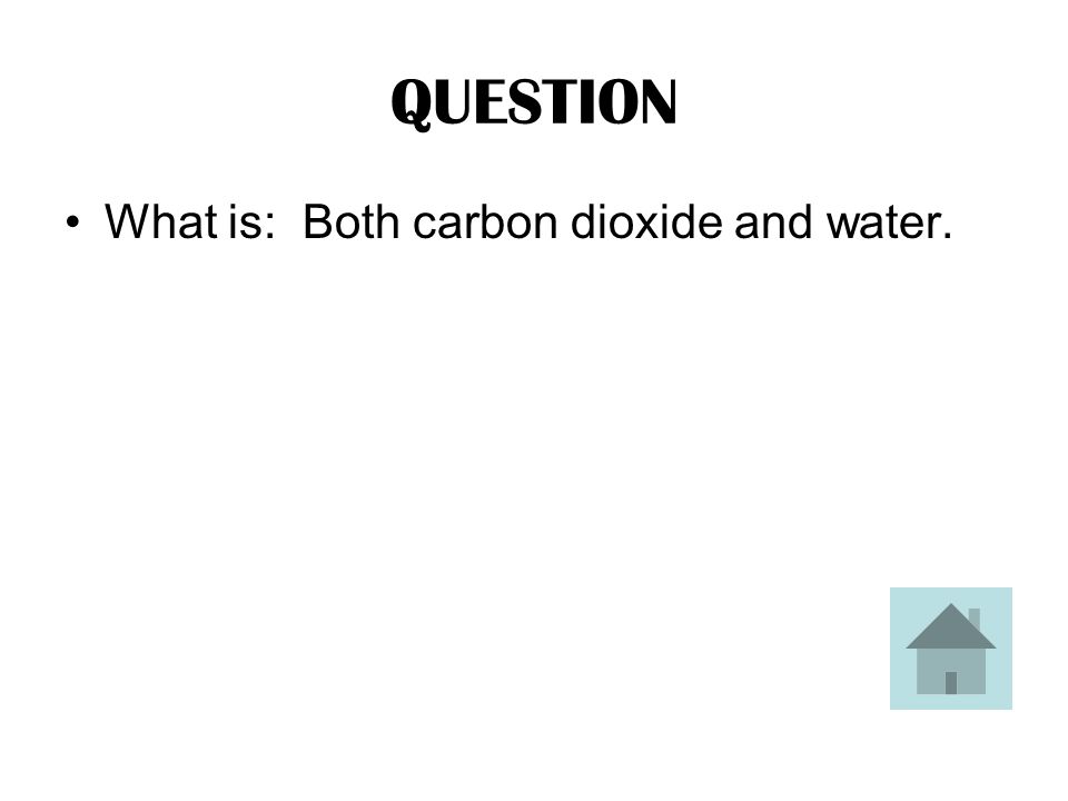ANSWER This is what a plant needs before it can use energy from the sun to make sugar.