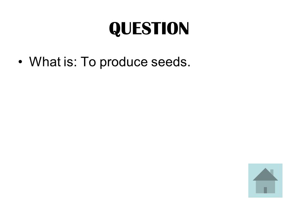 ANSWER This is the function of the flower of a plant.