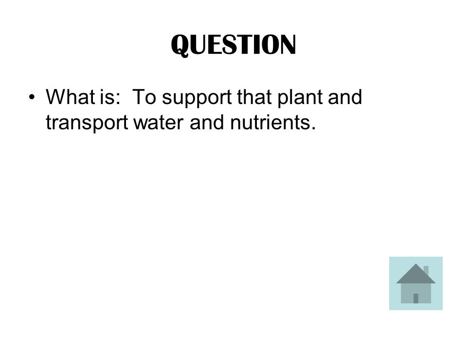 ANSWER This is the function of the stem of a plant.